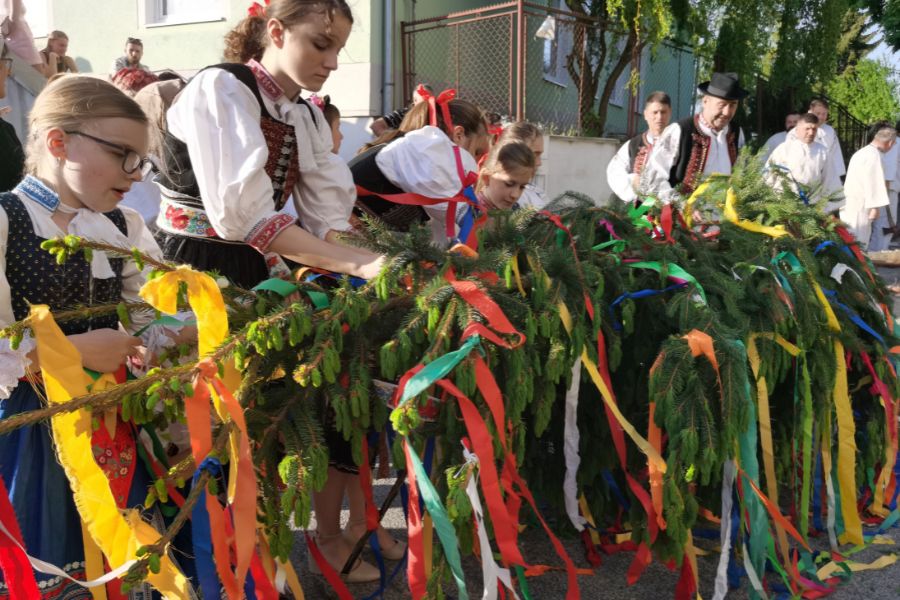 Stavanie mája: Slovenská tradícia a symbol lásky, ktorý spája generácie